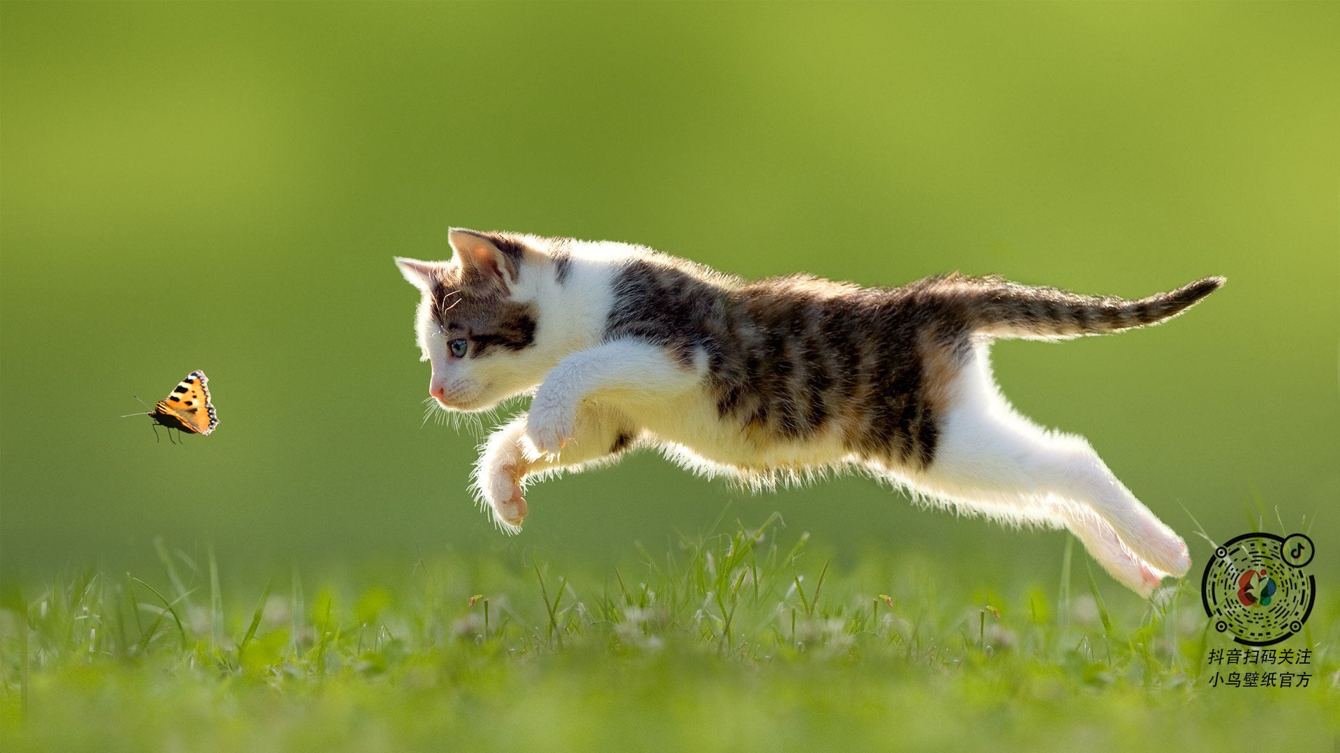 “青春追梦”青少年篮球夏令营在哈尔滨火热开班,打造未来运动人才