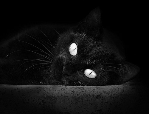 《Valorant冠军联赛,众神之战引爆电竞热潮》,valorant esport