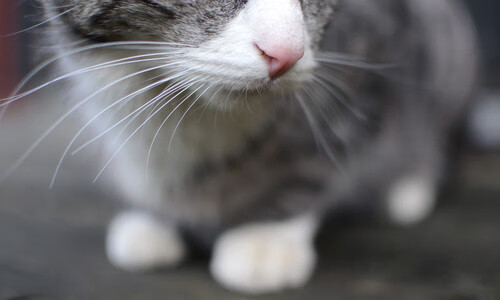 kaiyun体育app-“超强战术：联盟中最创新的进攻套路揭秘”，联盟进攻计划