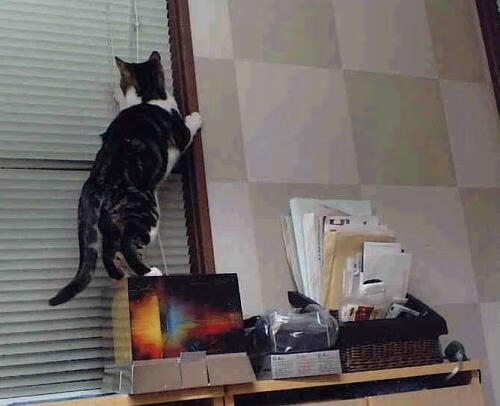 史上最令人激动的“绝杀进球”TOP10,绝杀球什么意思